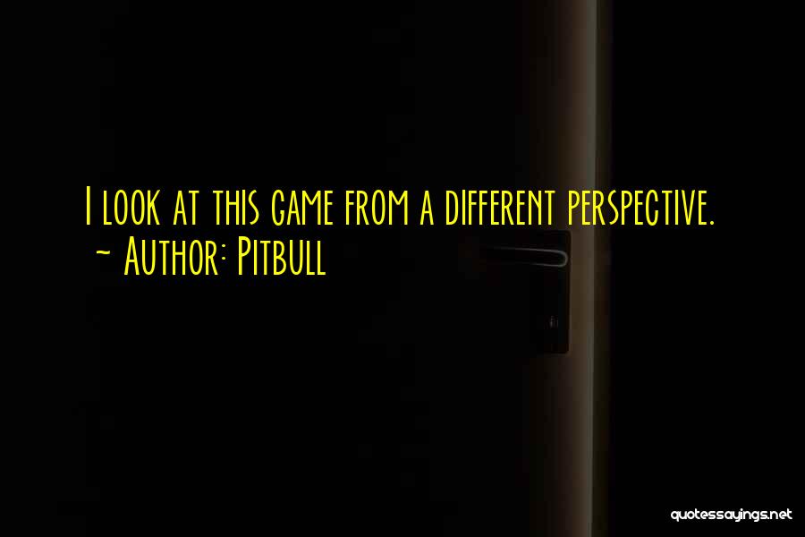 Pitbull Quotes: I Look At This Game From A Different Perspective.