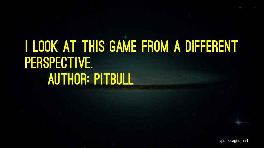 Pitbull Quotes: I Look At This Game From A Different Perspective.