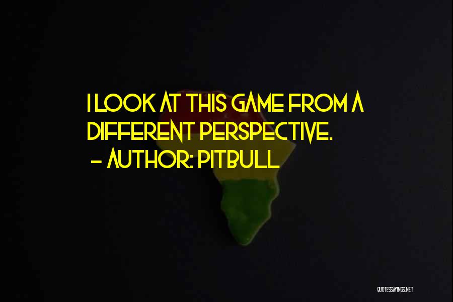 Pitbull Quotes: I Look At This Game From A Different Perspective.