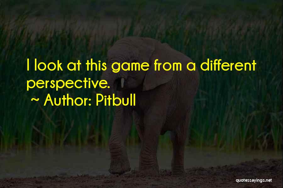 Pitbull Quotes: I Look At This Game From A Different Perspective.