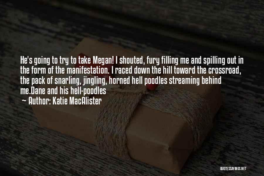 Katie MacAlister Quotes: He's Going To Try To Take Megan! I Shouted, Fury Filling Me And Spilling Out In The Form Of The