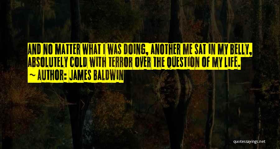 James Baldwin Quotes: And No Matter What I Was Doing, Another Me Sat In My Belly, Absolutely Cold With Terror Over The Question