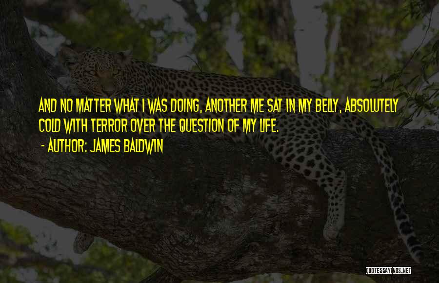 James Baldwin Quotes: And No Matter What I Was Doing, Another Me Sat In My Belly, Absolutely Cold With Terror Over The Question