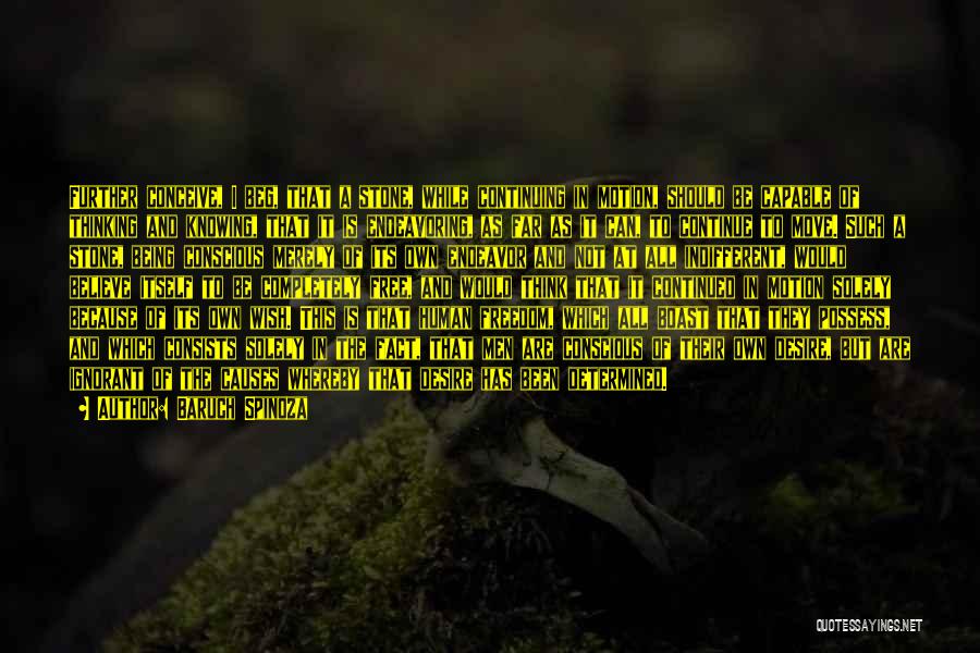 Baruch Spinoza Quotes: Further Conceive, I Beg, That A Stone, While Continuing In Motion, Should Be Capable Of Thinking And Knowing, That It