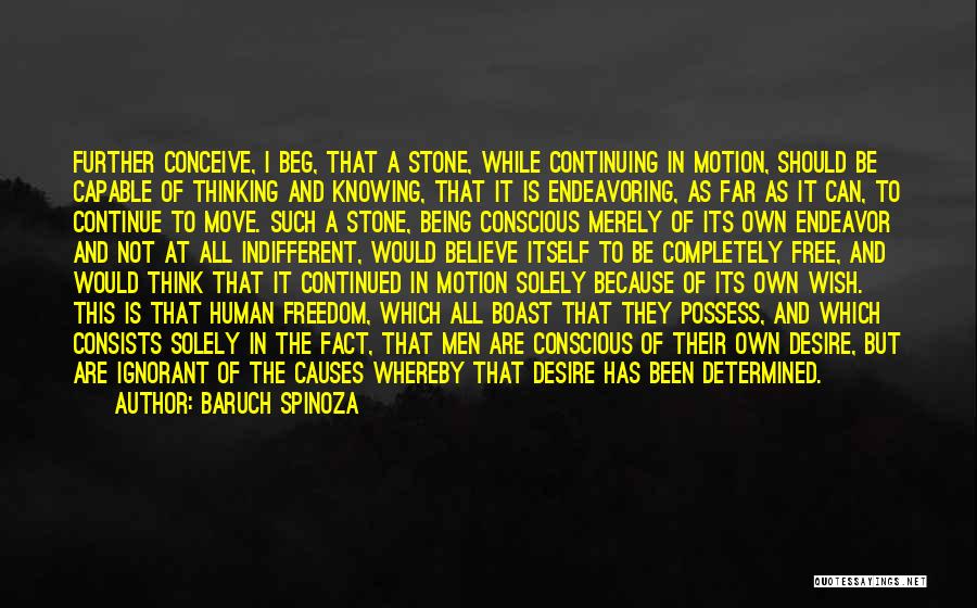 Baruch Spinoza Quotes: Further Conceive, I Beg, That A Stone, While Continuing In Motion, Should Be Capable Of Thinking And Knowing, That It