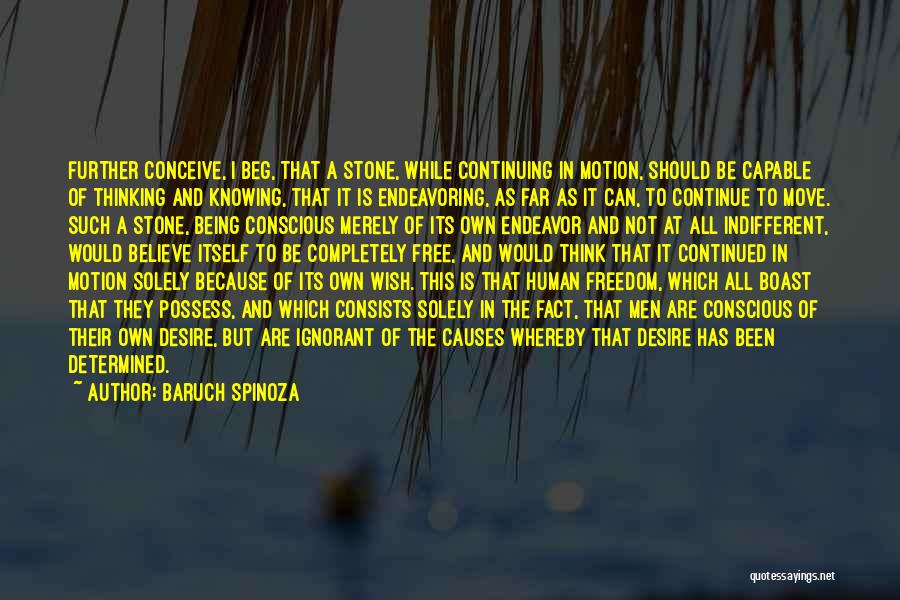 Baruch Spinoza Quotes: Further Conceive, I Beg, That A Stone, While Continuing In Motion, Should Be Capable Of Thinking And Knowing, That It