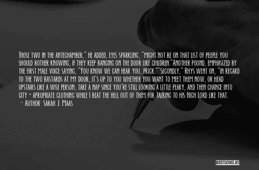 Sarah J. Maas Quotes: Those Two In The Antechamber, He Added, Eyes Sparkling, Might Not Be On That List Of People You Should Bother