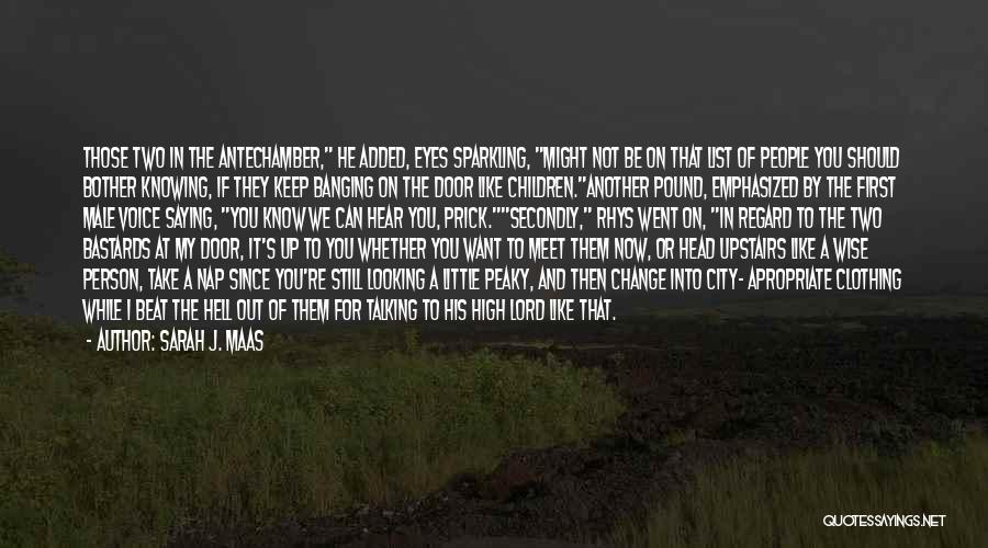 Sarah J. Maas Quotes: Those Two In The Antechamber, He Added, Eyes Sparkling, Might Not Be On That List Of People You Should Bother