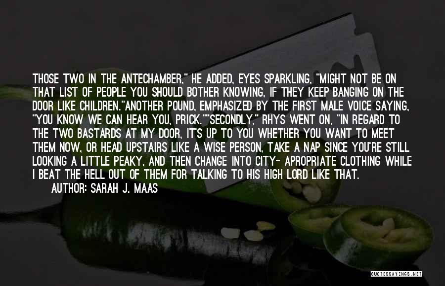Sarah J. Maas Quotes: Those Two In The Antechamber, He Added, Eyes Sparkling, Might Not Be On That List Of People You Should Bother