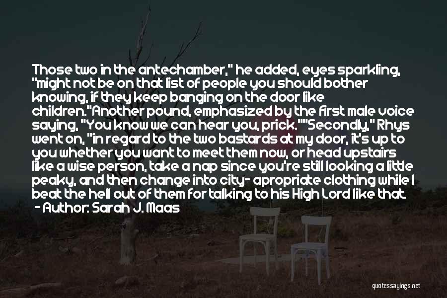 Sarah J. Maas Quotes: Those Two In The Antechamber, He Added, Eyes Sparkling, Might Not Be On That List Of People You Should Bother