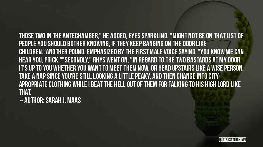 Sarah J. Maas Quotes: Those Two In The Antechamber, He Added, Eyes Sparkling, Might Not Be On That List Of People You Should Bother