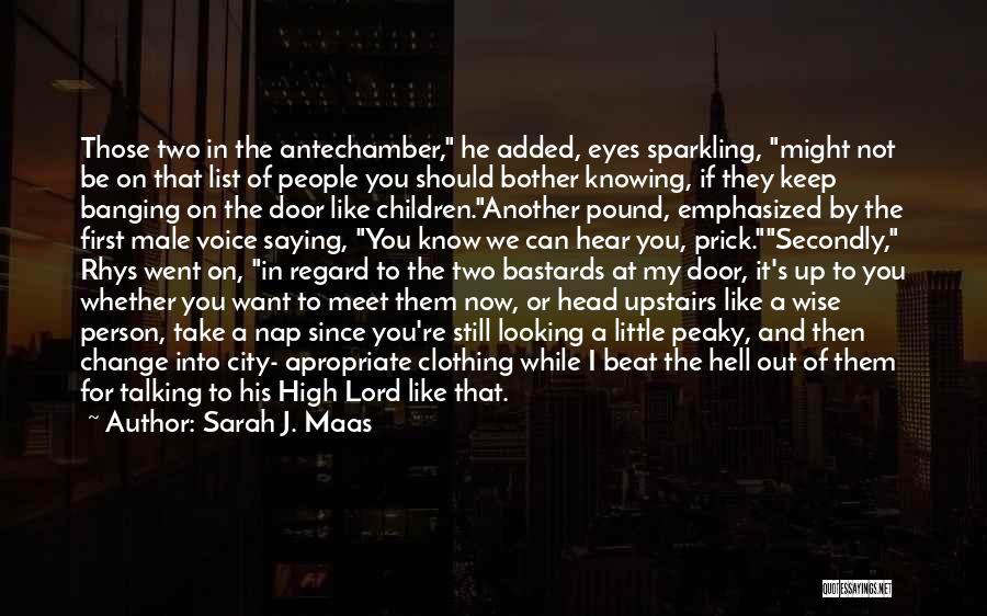 Sarah J. Maas Quotes: Those Two In The Antechamber, He Added, Eyes Sparkling, Might Not Be On That List Of People You Should Bother