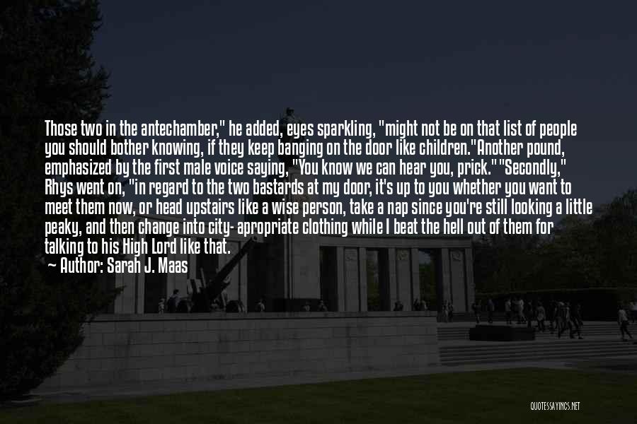Sarah J. Maas Quotes: Those Two In The Antechamber, He Added, Eyes Sparkling, Might Not Be On That List Of People You Should Bother