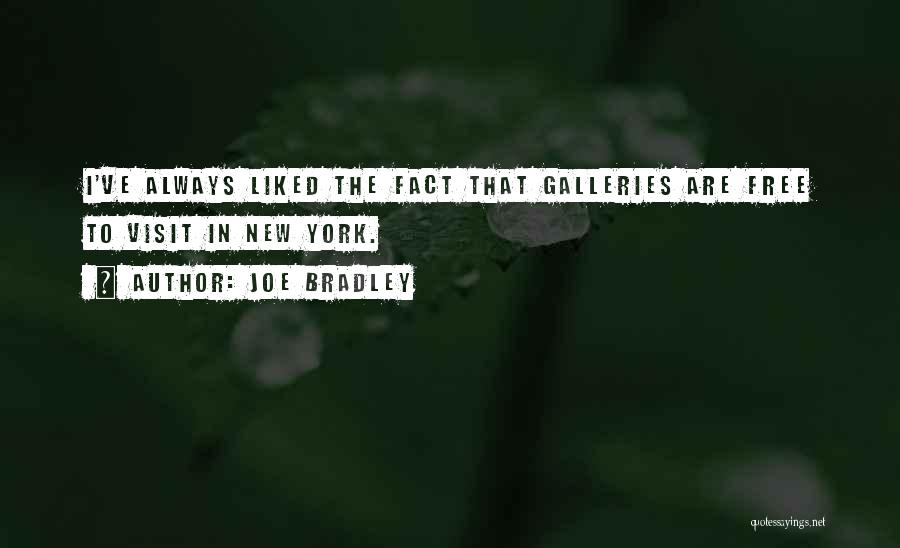 Joe Bradley Quotes: I've Always Liked The Fact That Galleries Are Free To Visit In New York.