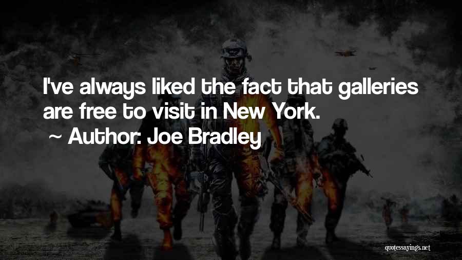 Joe Bradley Quotes: I've Always Liked The Fact That Galleries Are Free To Visit In New York.