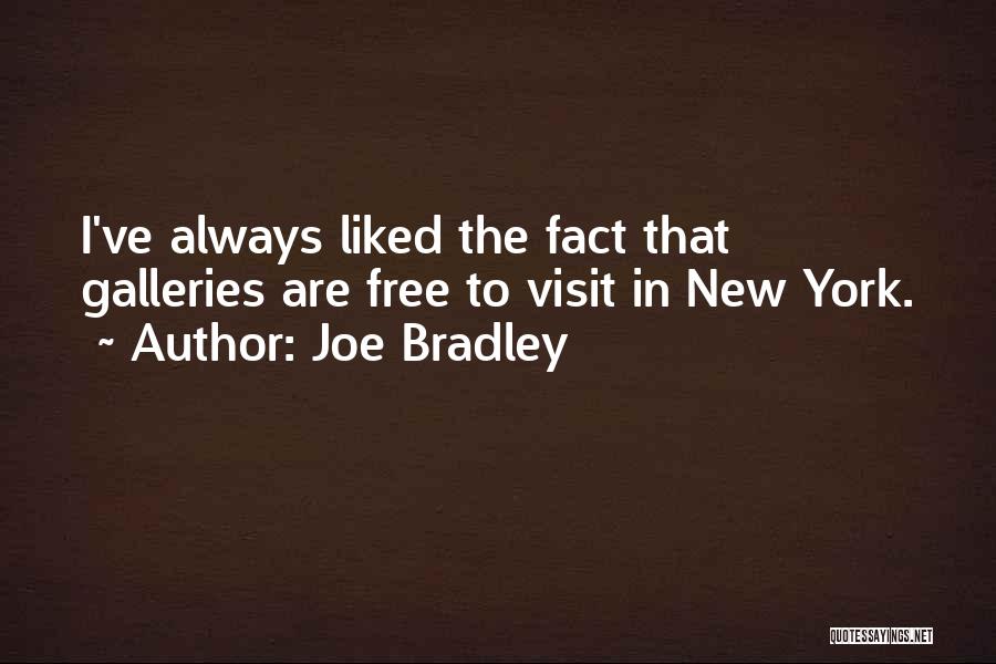 Joe Bradley Quotes: I've Always Liked The Fact That Galleries Are Free To Visit In New York.