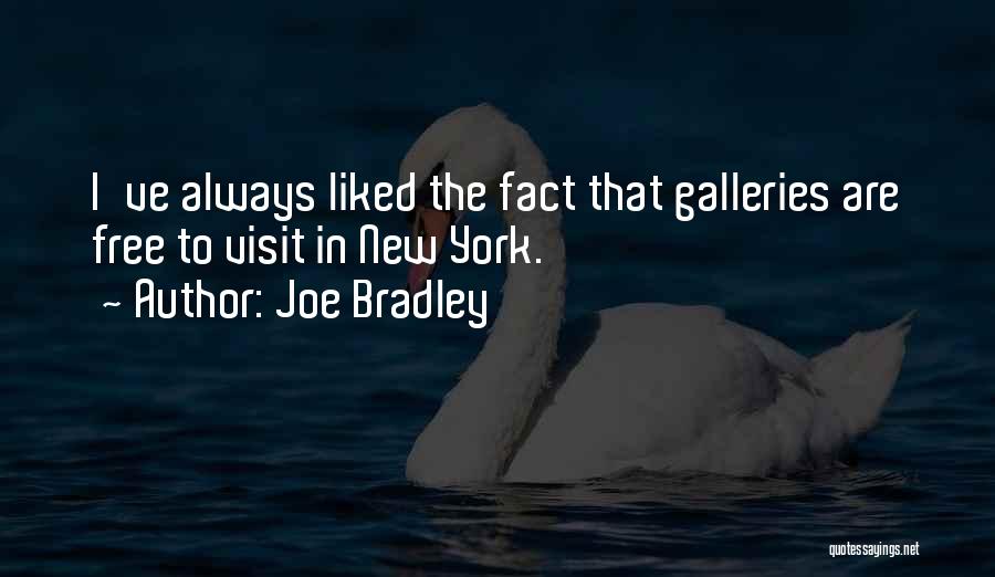 Joe Bradley Quotes: I've Always Liked The Fact That Galleries Are Free To Visit In New York.