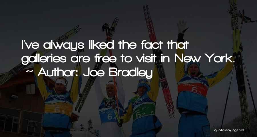 Joe Bradley Quotes: I've Always Liked The Fact That Galleries Are Free To Visit In New York.