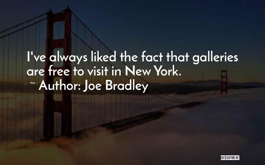 Joe Bradley Quotes: I've Always Liked The Fact That Galleries Are Free To Visit In New York.