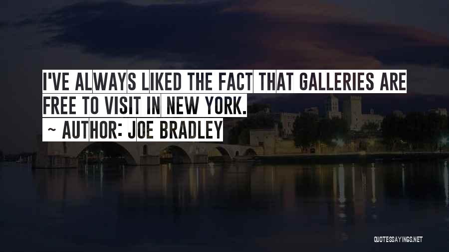 Joe Bradley Quotes: I've Always Liked The Fact That Galleries Are Free To Visit In New York.