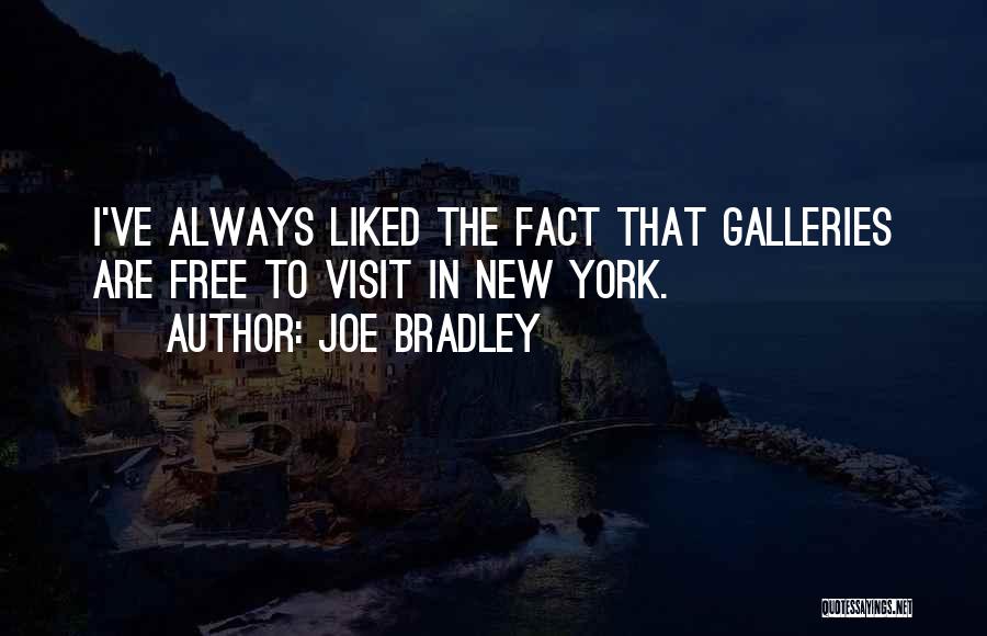 Joe Bradley Quotes: I've Always Liked The Fact That Galleries Are Free To Visit In New York.