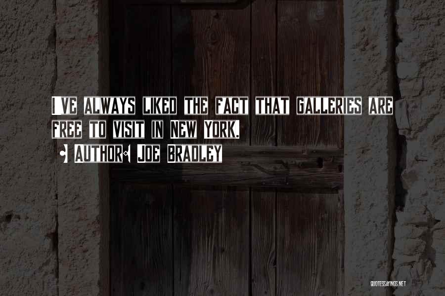 Joe Bradley Quotes: I've Always Liked The Fact That Galleries Are Free To Visit In New York.