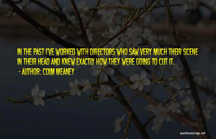 Colm Meaney Quotes: In The Past I've Worked With Directors Who Saw Very Much Their Scene In Their Head And Knew Exactly How