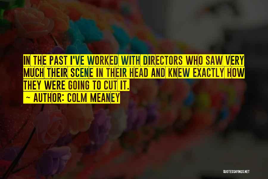 Colm Meaney Quotes: In The Past I've Worked With Directors Who Saw Very Much Their Scene In Their Head And Knew Exactly How