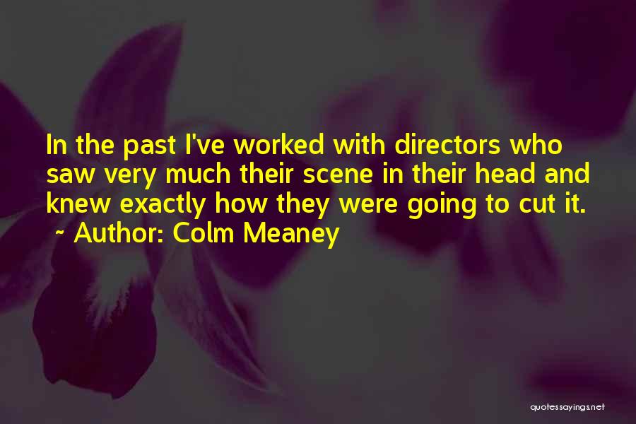 Colm Meaney Quotes: In The Past I've Worked With Directors Who Saw Very Much Their Scene In Their Head And Knew Exactly How