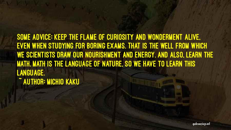 Michio Kaku Quotes: Some Advice: Keep The Flame Of Curiosity And Wonderment Alive, Even When Studying For Boring Exams. That Is The Well