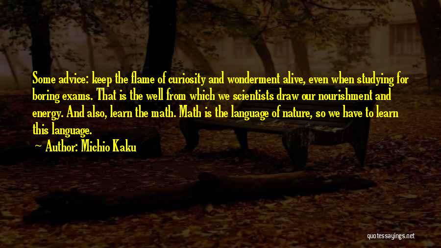 Michio Kaku Quotes: Some Advice: Keep The Flame Of Curiosity And Wonderment Alive, Even When Studying For Boring Exams. That Is The Well