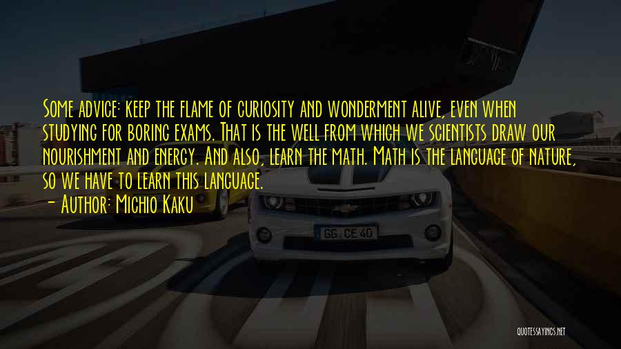 Michio Kaku Quotes: Some Advice: Keep The Flame Of Curiosity And Wonderment Alive, Even When Studying For Boring Exams. That Is The Well