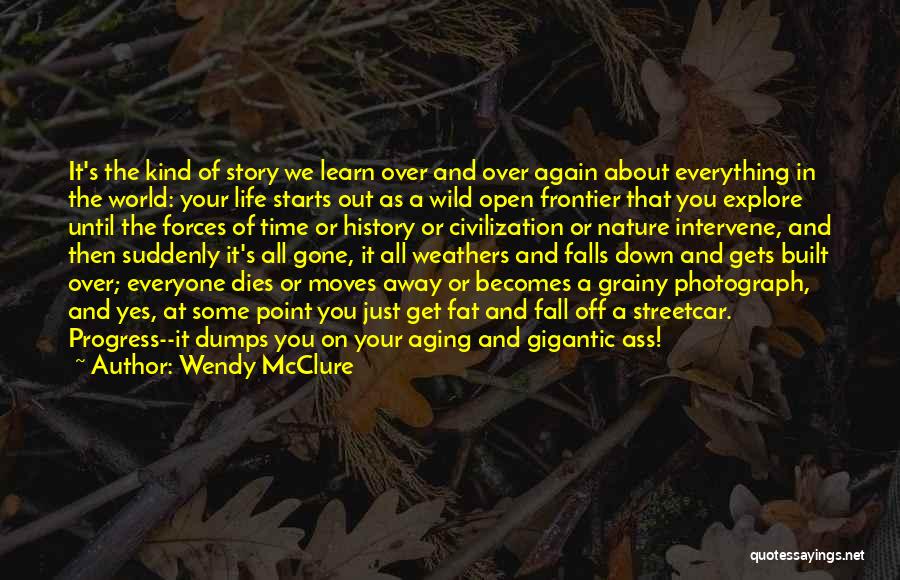 Wendy McClure Quotes: It's The Kind Of Story We Learn Over And Over Again About Everything In The World: Your Life Starts Out