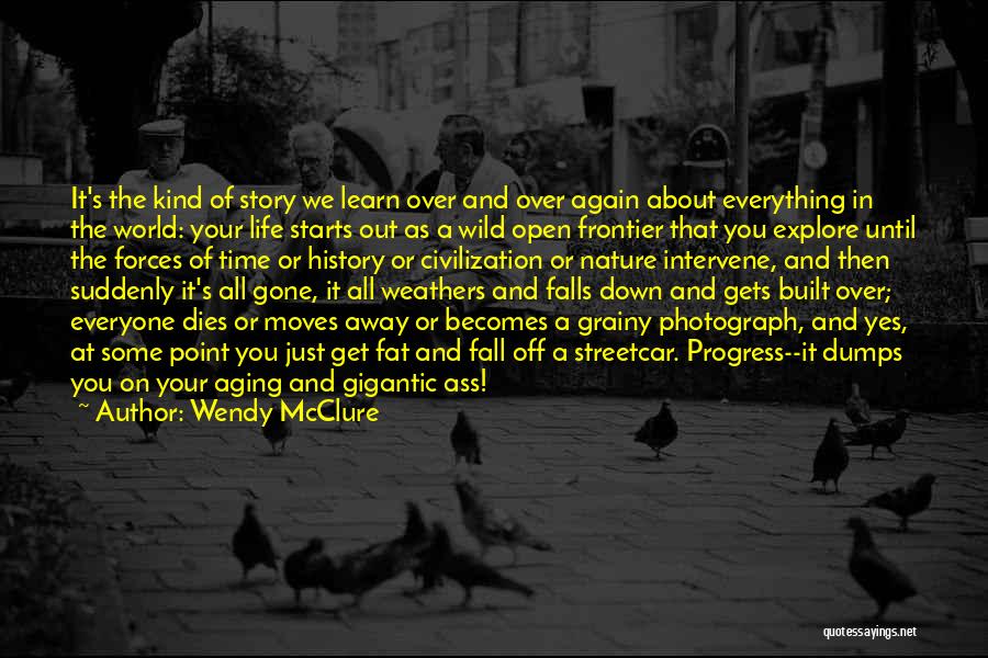 Wendy McClure Quotes: It's The Kind Of Story We Learn Over And Over Again About Everything In The World: Your Life Starts Out