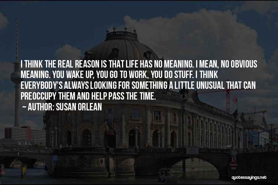 Susan Orlean Quotes: I Think The Real Reason Is That Life Has No Meaning. I Mean, No Obvious Meaning. You Wake Up, You