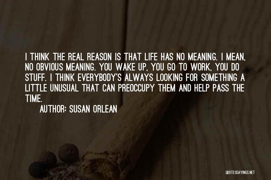 Susan Orlean Quotes: I Think The Real Reason Is That Life Has No Meaning. I Mean, No Obvious Meaning. You Wake Up, You