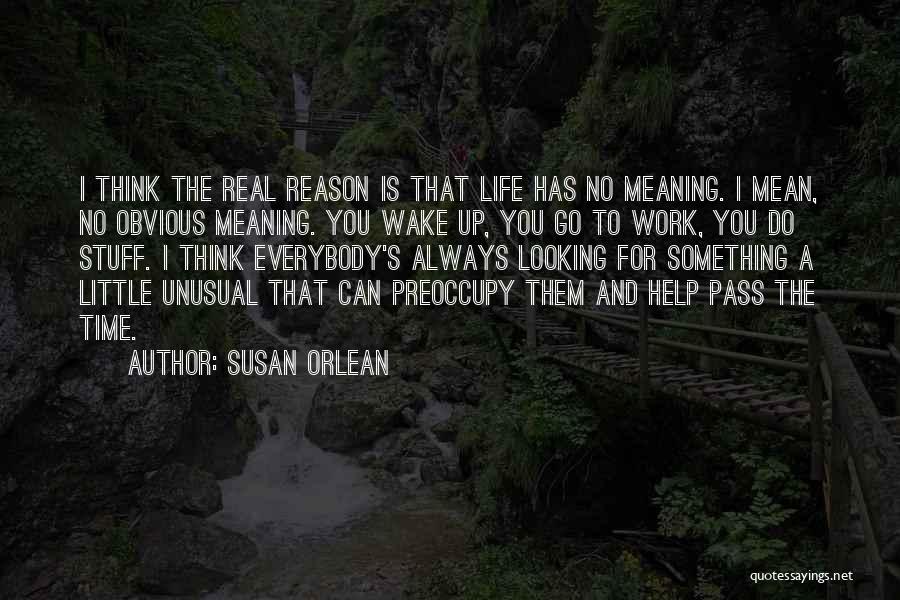 Susan Orlean Quotes: I Think The Real Reason Is That Life Has No Meaning. I Mean, No Obvious Meaning. You Wake Up, You