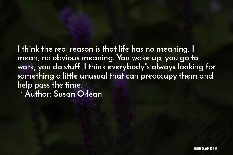 Susan Orlean Quotes: I Think The Real Reason Is That Life Has No Meaning. I Mean, No Obvious Meaning. You Wake Up, You