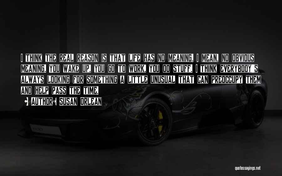 Susan Orlean Quotes: I Think The Real Reason Is That Life Has No Meaning. I Mean, No Obvious Meaning. You Wake Up, You