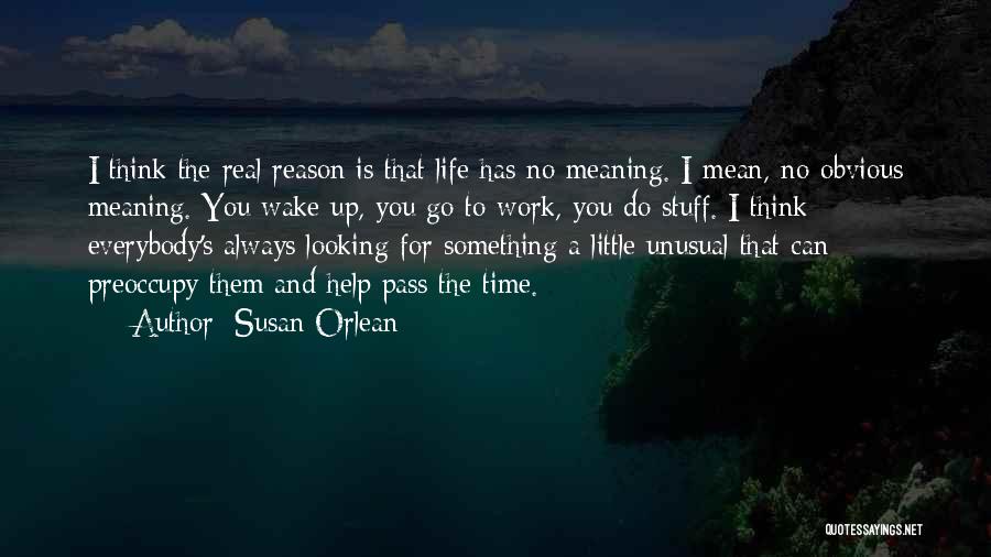 Susan Orlean Quotes: I Think The Real Reason Is That Life Has No Meaning. I Mean, No Obvious Meaning. You Wake Up, You