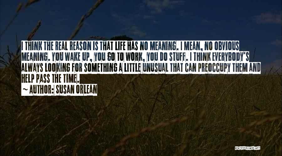 Susan Orlean Quotes: I Think The Real Reason Is That Life Has No Meaning. I Mean, No Obvious Meaning. You Wake Up, You