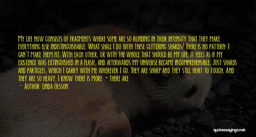 Linda Olsson Quotes: My Life Now Consists Of Fragments Where Some Are So Blinding In Their Intensity That They Make Everything Else Indistinguishable.