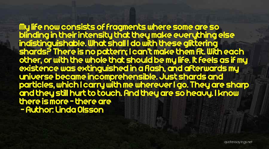 Linda Olsson Quotes: My Life Now Consists Of Fragments Where Some Are So Blinding In Their Intensity That They Make Everything Else Indistinguishable.