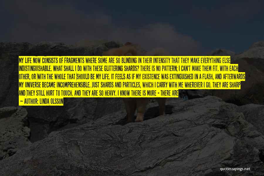 Linda Olsson Quotes: My Life Now Consists Of Fragments Where Some Are So Blinding In Their Intensity That They Make Everything Else Indistinguishable.