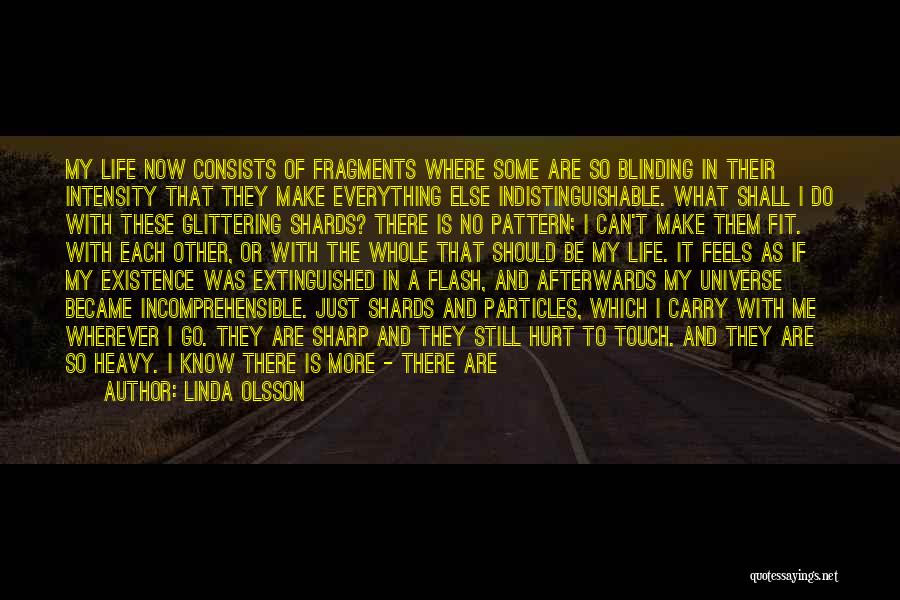 Linda Olsson Quotes: My Life Now Consists Of Fragments Where Some Are So Blinding In Their Intensity That They Make Everything Else Indistinguishable.