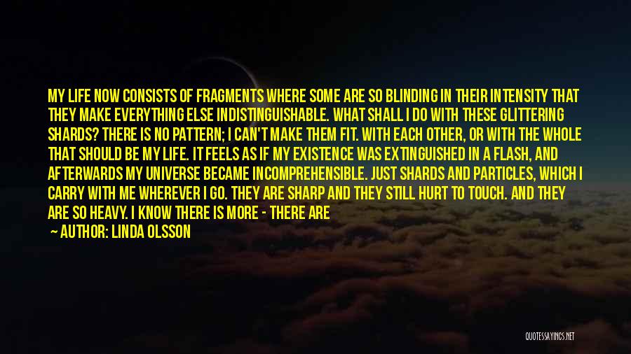 Linda Olsson Quotes: My Life Now Consists Of Fragments Where Some Are So Blinding In Their Intensity That They Make Everything Else Indistinguishable.