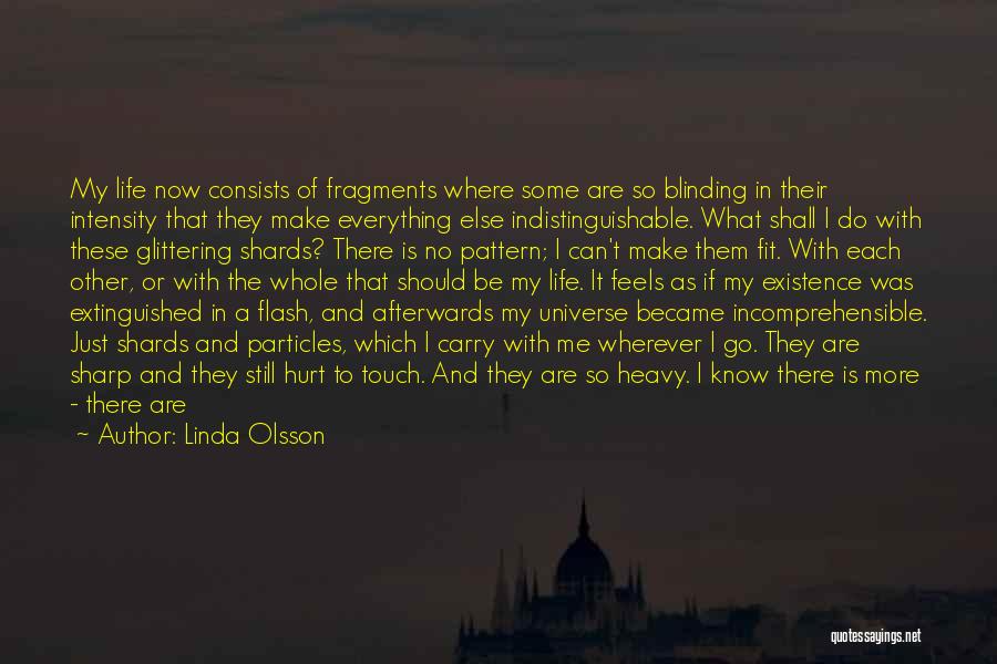 Linda Olsson Quotes: My Life Now Consists Of Fragments Where Some Are So Blinding In Their Intensity That They Make Everything Else Indistinguishable.