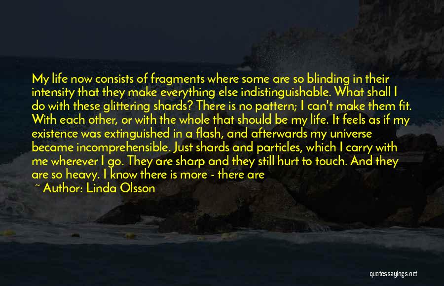 Linda Olsson Quotes: My Life Now Consists Of Fragments Where Some Are So Blinding In Their Intensity That They Make Everything Else Indistinguishable.