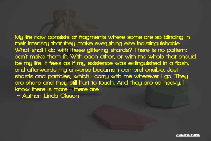 Linda Olsson Quotes: My Life Now Consists Of Fragments Where Some Are So Blinding In Their Intensity That They Make Everything Else Indistinguishable.