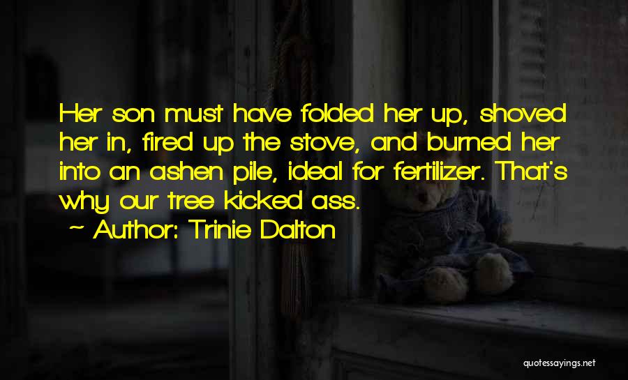 Trinie Dalton Quotes: Her Son Must Have Folded Her Up, Shoved Her In, Fired Up The Stove, And Burned Her Into An Ashen